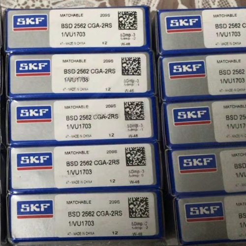 BSD2562CGA-2RS